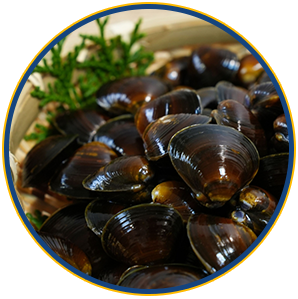 オルニチンのイメージ